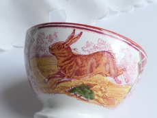 画像16: マーストリヒト カフェオレボウル 野うさぎ (16)