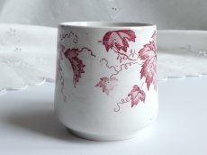 画像8: サンタマン  カップ & ソーサー フレーズ ローズ A (8)