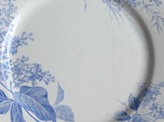画像6: クレイユ モントロー プレート '' LILAS ''  B (6)