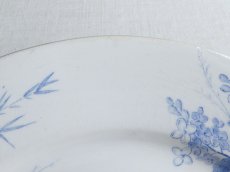 画像11: クレイユ モントロー プレート '' LILAS ''  B (11)