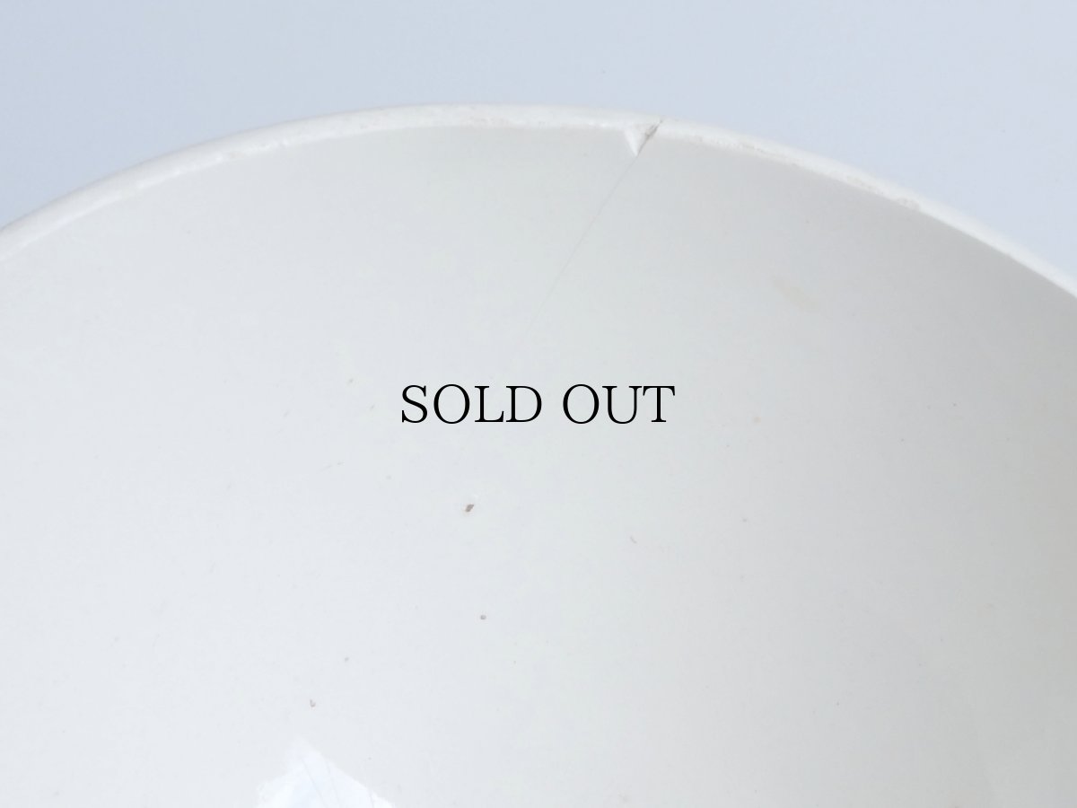 画像9: ディゴワン＆サルグミンヌ  カフェオレボウル '' NINA ROSA ''  フレンチブルー (9)