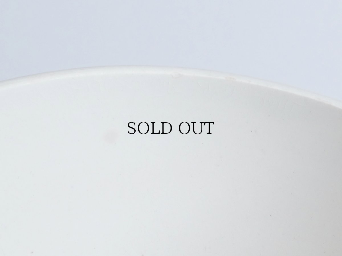 画像8: ディゴワン＆サルグミンヌ  カフェオレボウル '' NINA ROSA ''  フレンチブルー (8)