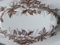 画像7: ショワジールロワ ラヴィエ 野ばら (7)