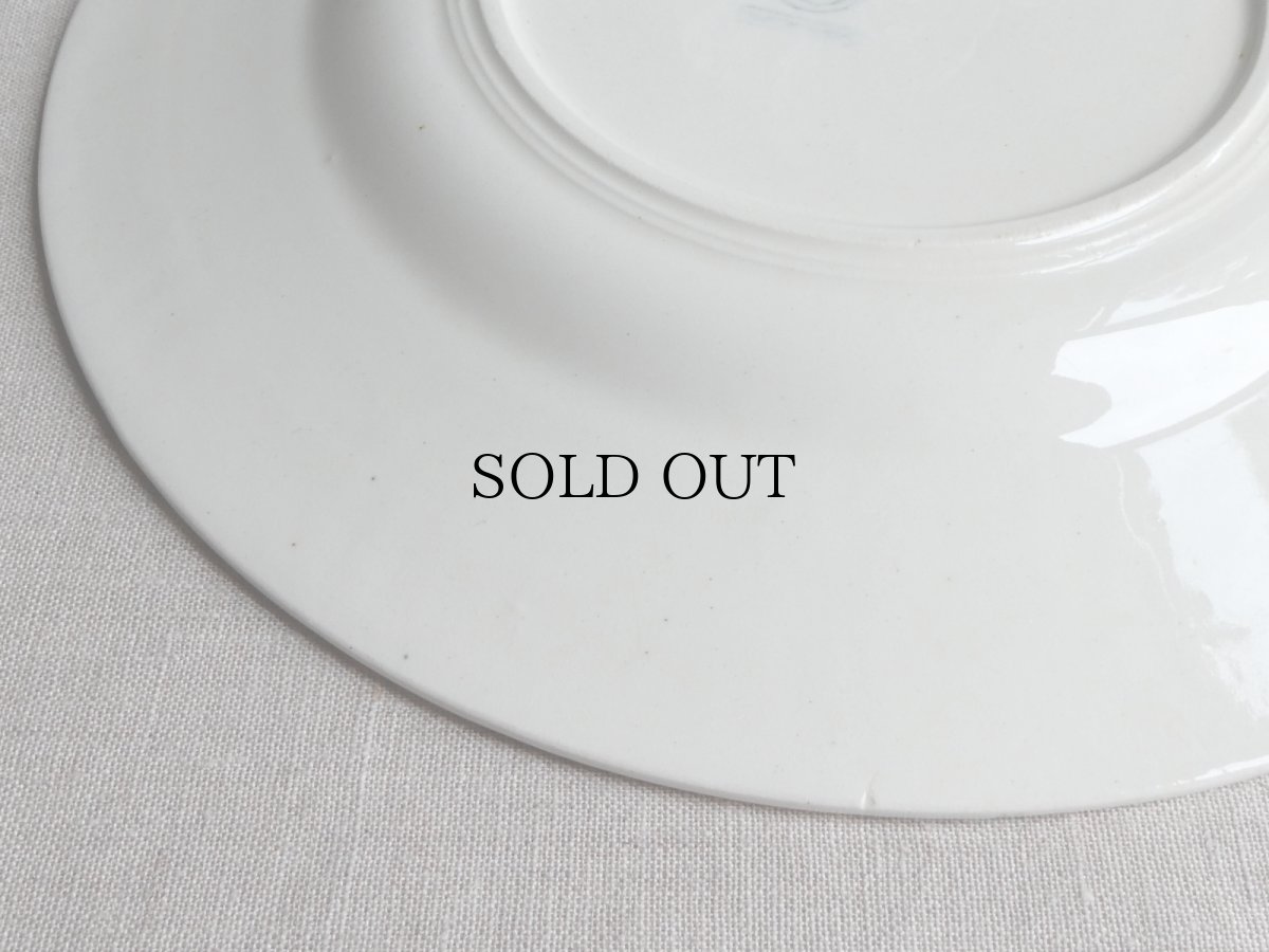 画像10: ショワジールロワ プレート ミラベル A (10)