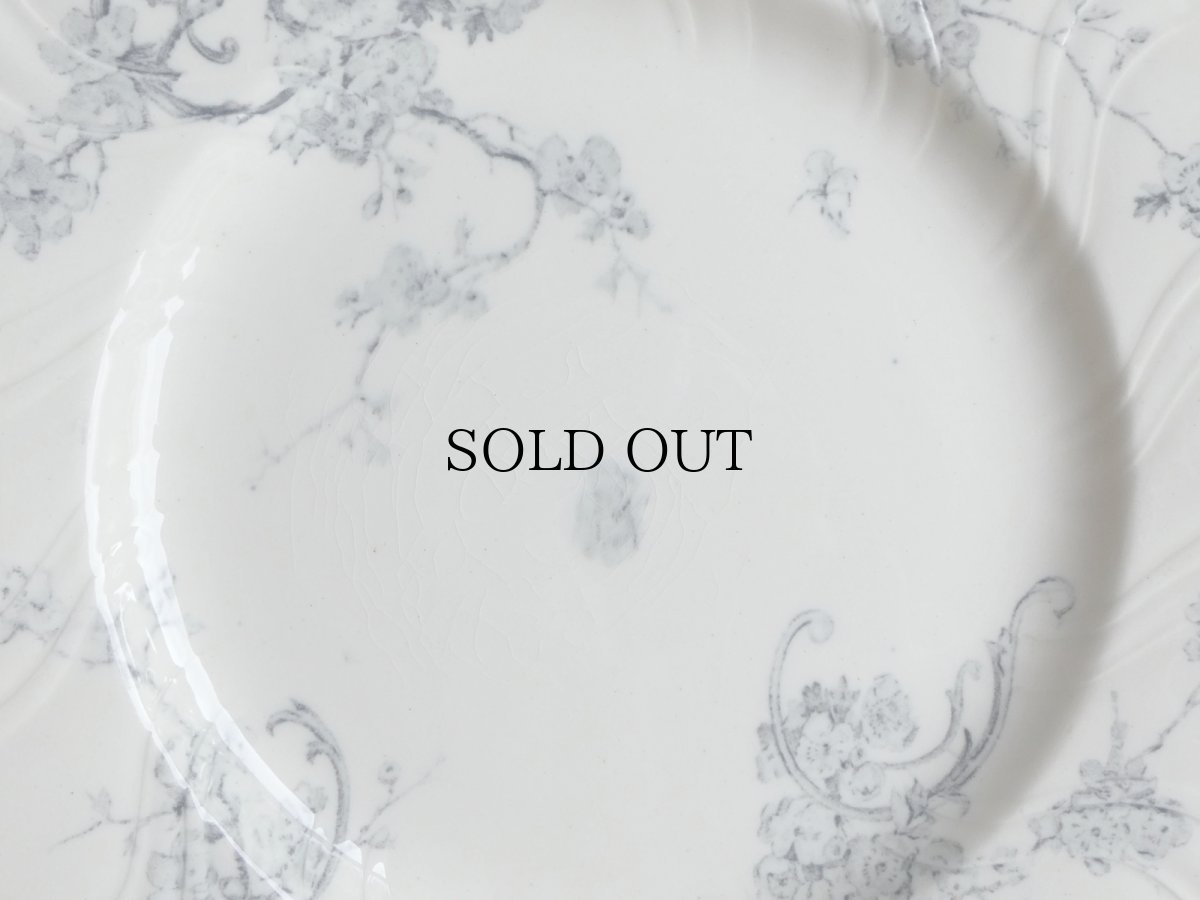 画像8: ショワジールロワ プレート ミラベル A (8)