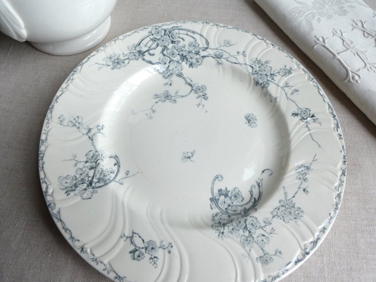 画像15: ショワジールロワ プレート ミラベル B (15)