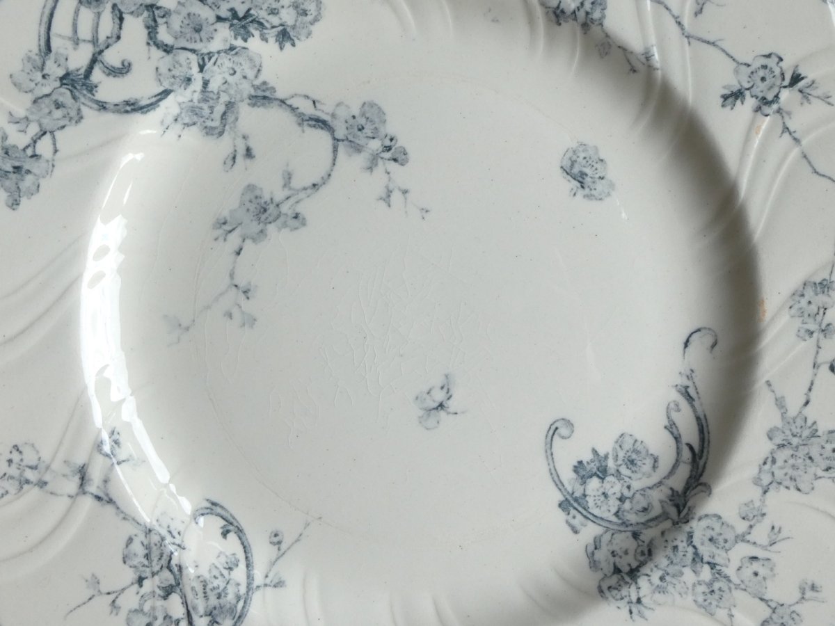 画像7: ショワジールロワ プレート ミラベル B (7)