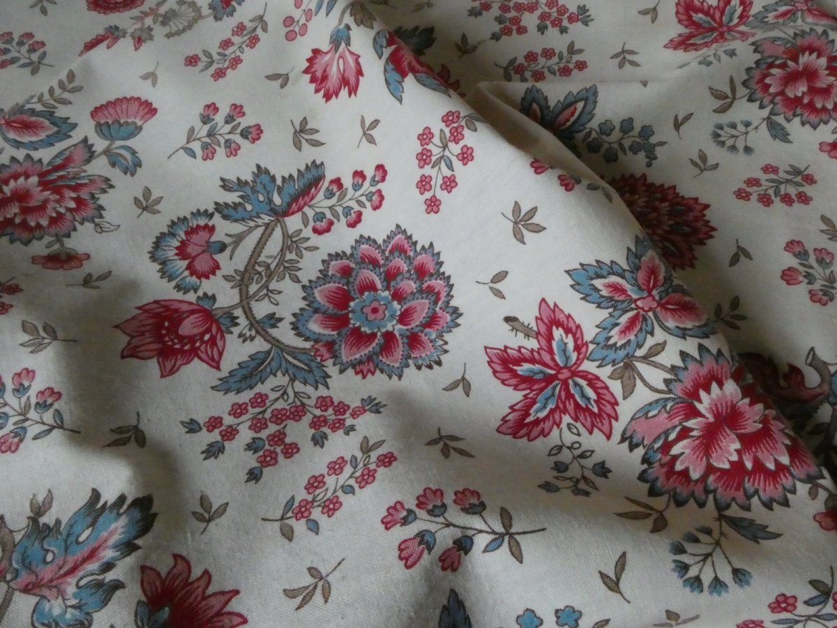 画像4: フランス アンティーク ファブリック アンディアンヌ  (4)