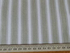 画像9: ティッキング ファブリック  セージ (9)