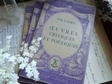 画像17: フランス アンティーク 古書 LAROUSSE PARIS 3冊セット B (17)