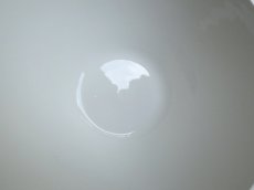 画像6: サルグミンヌ カフェオレボウル ローズ柄 B (6)