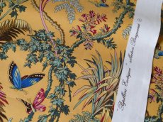画像1: フランス製 ファブリック PIERRE FREY PARIS '' Papillons Exotiques ''  (1)
