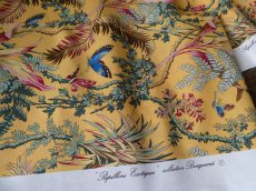 画像14: フランス製 ファブリック PIERRE FREY PARIS '' Papillons Exotiques ''  (14)