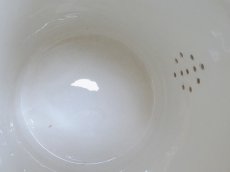 画像7: クレイユ モントロー ティーポット バスク柄  (7)