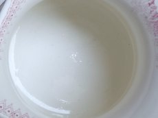 画像6: サルグミンヌ 花々の水差し JARDINIERE  フェイデッドピンク (6)