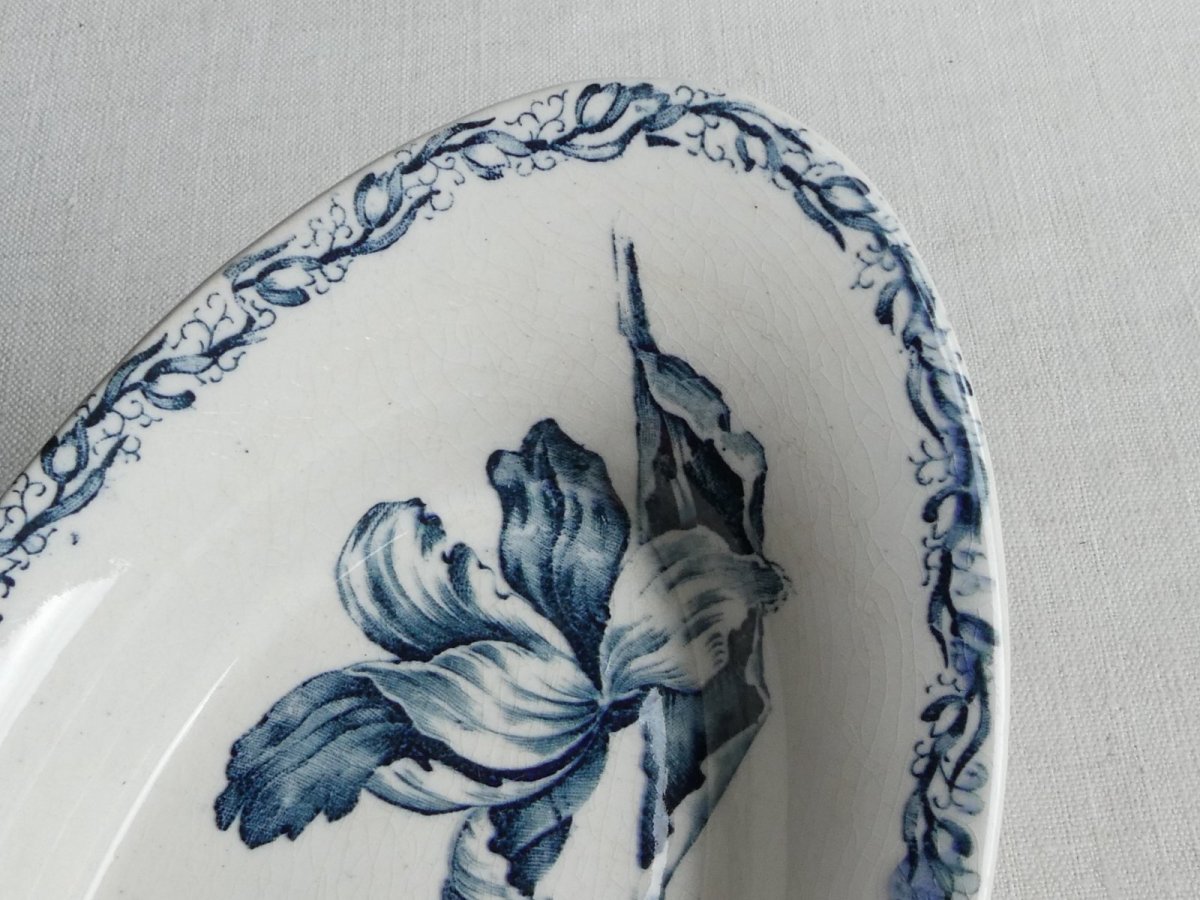 画像13: リュネヴィル ラヴィエ チューリップ (13)