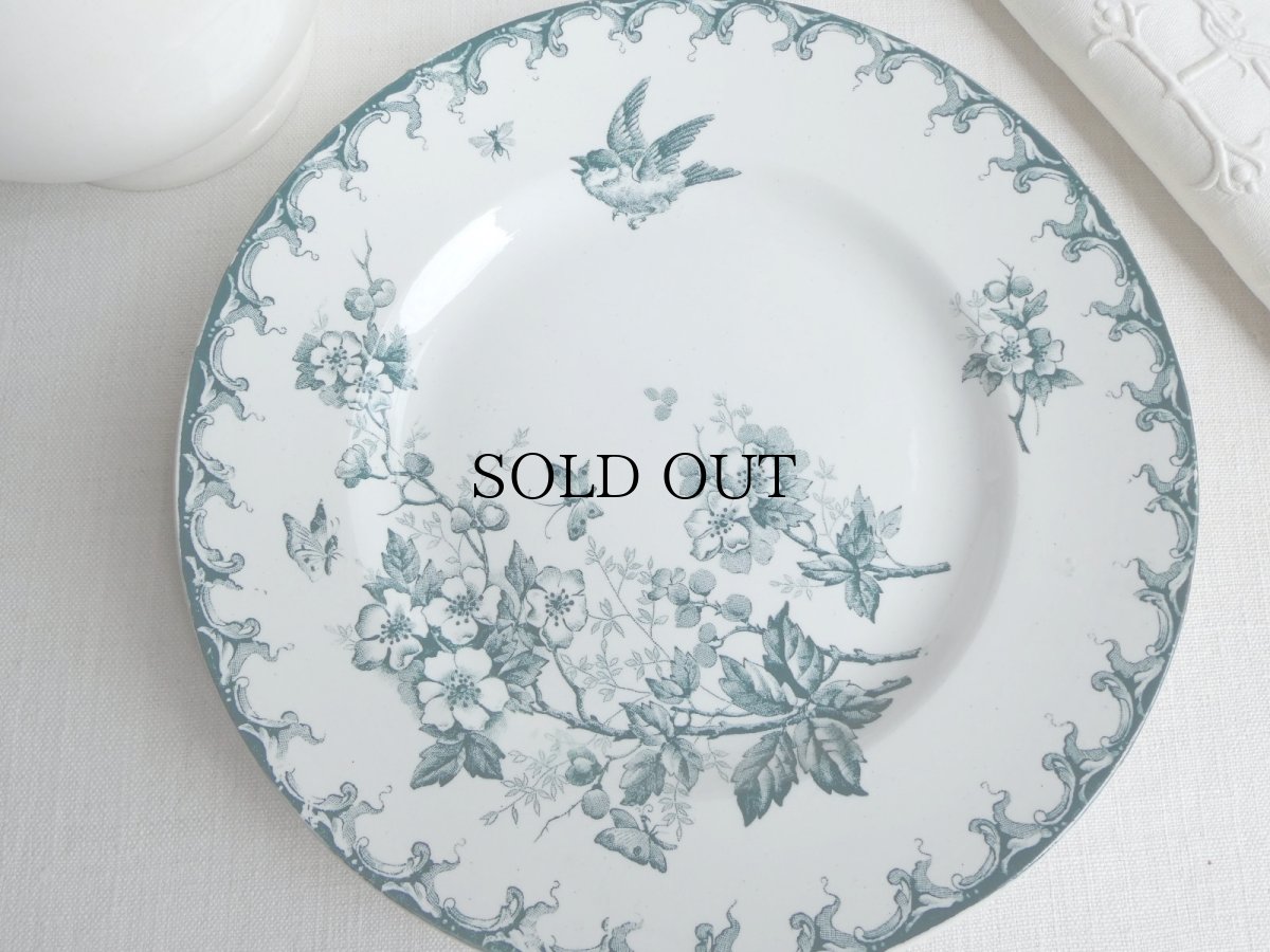 画像14: サンタマン プレート 鳥と蝶 A (14)