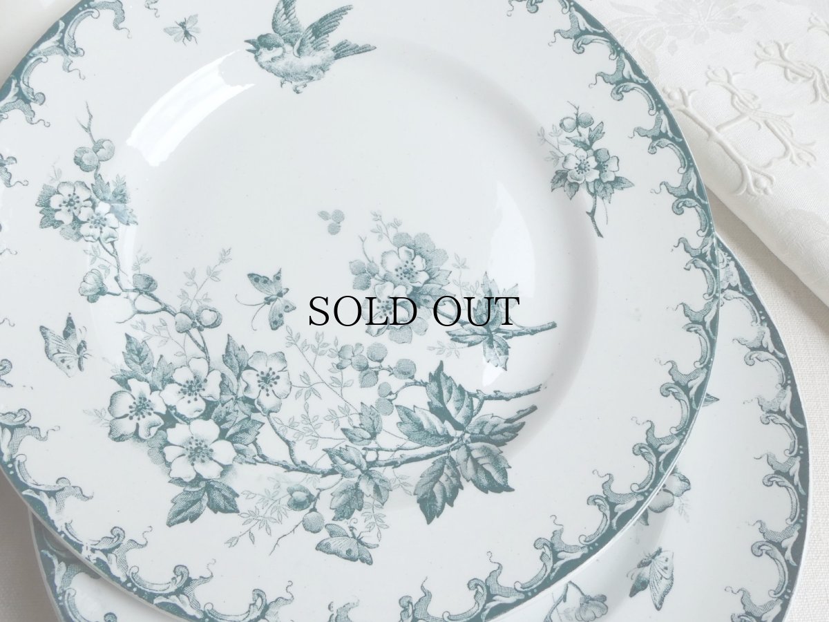 画像16: サンタマン プレート 鳥と蝶 A (16)