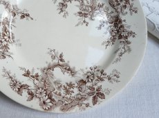 画像4: ショワジールロワ プレート   '' POMPADOUR ''  風景画  (4)