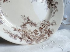 画像17: ショワジールロワ プレート   '' POMPADOUR ''  風景画  (17)