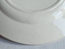 画像9: ショワジールロワ プレート   '' POMPADOUR ''  風景画  (9)